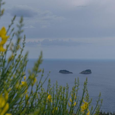 Villa La Pace Сант'Агнело Екстериор снимка