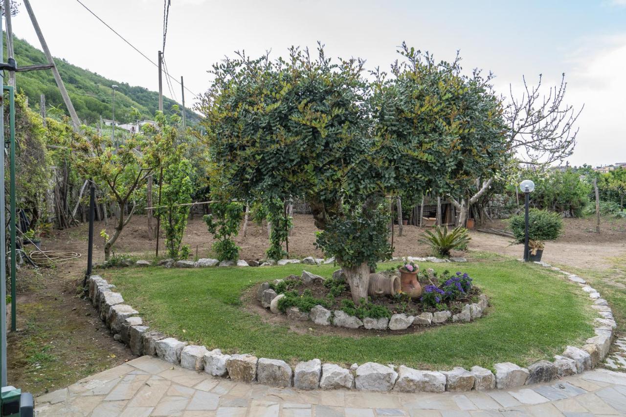 Villa La Pace Сант'Агнело Екстериор снимка